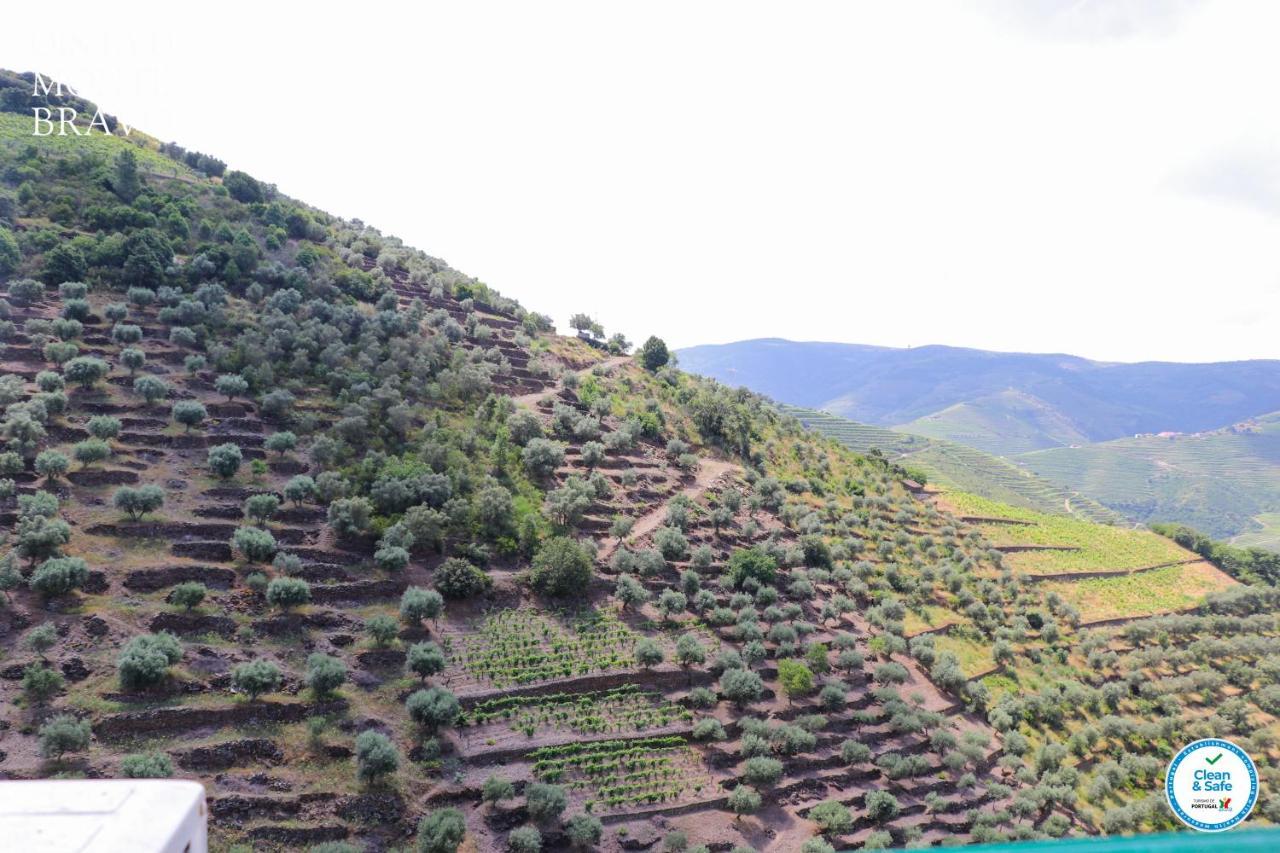 Quinta Do Monte Bravo - Douro - Quarto Duplo Villa Ervedosa do Douro Buitenkant foto