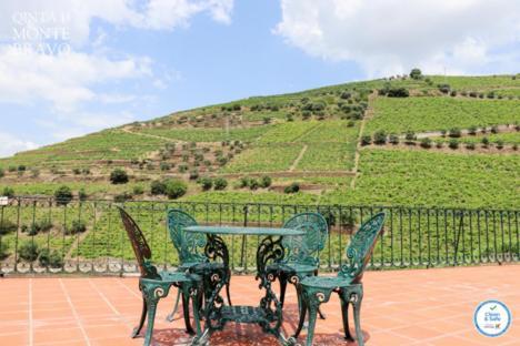 Quinta Do Monte Bravo - Douro - Quarto Duplo Villa Ervedosa do Douro Buitenkant foto