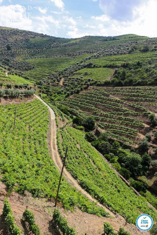 Quinta Do Monte Bravo - Douro - Quarto Duplo Villa Ervedosa do Douro Buitenkant foto