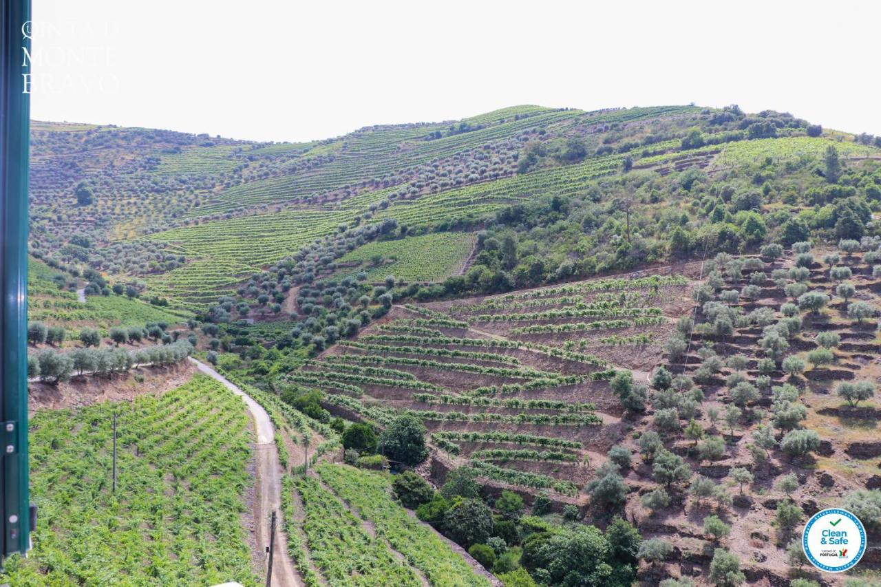 Quinta Do Monte Bravo - Douro - Quarto Duplo Villa Ervedosa do Douro Buitenkant foto